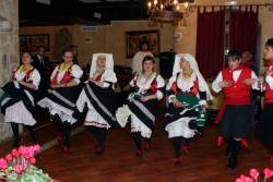 campania_gusmed_festival campania_gusmed_festival