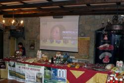 gusmed_festival gusmed_festival